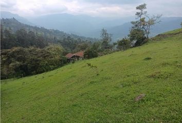 Villa-Quinta en  San Rafael, Junín