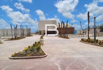 Lote de Terreno en  Colonia Benito Juárez, Cancún, Quintana Roo