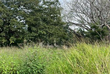 Lote de Terreno en  Colonia El Charro, Tampico