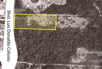 Lote de Terreno en  Colonia Supermanzana 312, Cancún, Quintana Roo