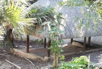 Lote de Terreno en  77936, Colonia Aarón Merino, Quintana Roo, Mex