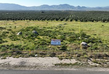 Lote de Terreno en  Carretera El Sauzal-guadalupe, Ensenada, Baja California, 22753, Mex