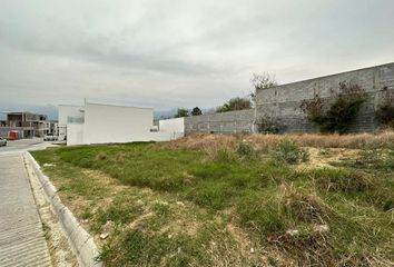 Lote de Terreno en  Calle Camino Real, El Yerbaniz, Santiago, Nuevo León, 67302, Mex