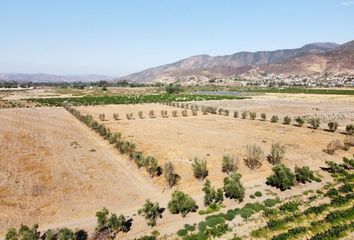 Lote de Terreno en  Calle Principal, Francisco Zarco, Ensenada, Baja California, 22750, Mex
