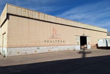 Nave en  Sector Sur, Delicias