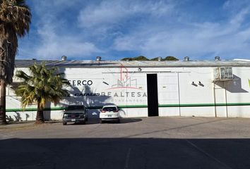 Nave en  Sector Sur, Delicias