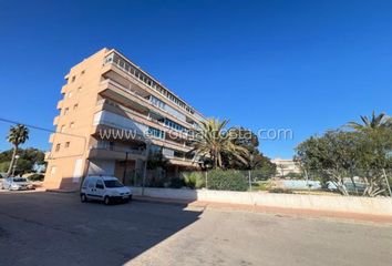 Estudio en  Guardamar Del Segura, Alicante Provincia