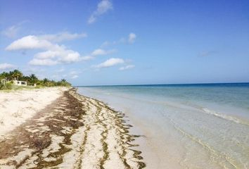 Lote de Terreno en  Calle 25 33, San Crisanto, Sinanché, Yucatán, 97424, Mex