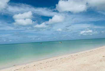Lote de Terreno en  Celestún, Yucatán