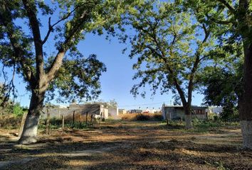 Lote de Terreno en  Barrio Del Sombreretillo, Parras