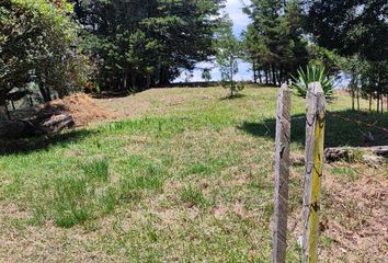 Lote de Terreno en  Comuna 7, Robledo, Medellín