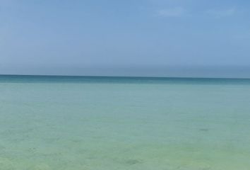 Lote de Terreno en  97424, San Crisanto, Yucatán, Mex