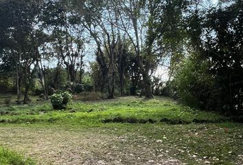 Lote de Terreno en  Plan De La Cruz, Coatepec, Veracruz