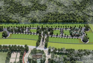 Lote de Terreno en  Calle 25 33, San Crisanto, Sinanché, Yucatán, 97424, Mex
