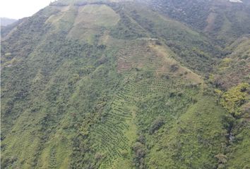Villa-Quinta en  Génova, Quindío