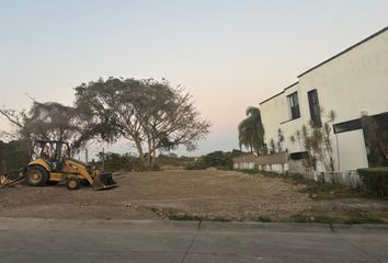 Lote de Terreno en  Municipo De Cuauhtémoc (colima)