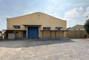 Nave en  Elx/elche, Alicante Provincia