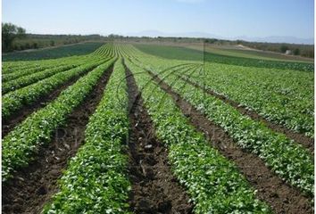 Villa en  Cadereyta Jimenez Centro, Cadereyta Jiménez