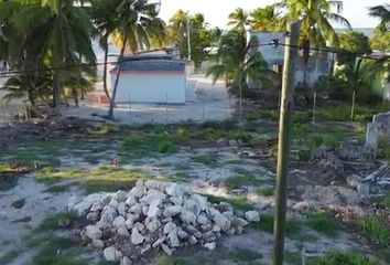 Lote de Terreno en  Calle 25 147, San Crisanto, Sinanché, Yucatán, 97424, Mex