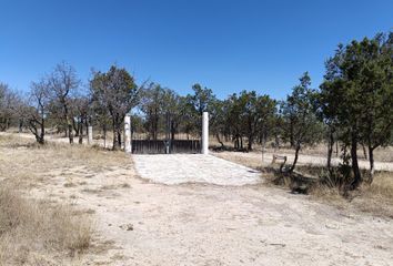 Casa en  Rancho O Rancheria La Congoja, San José De Gracia, Aguascalientes