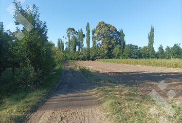 Casa en  Cinco Saltos, Río Negro