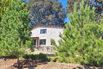 Rancho en  Calle Madero 21, Centro, Amealco De Bonfil, Querétaro, 76850, Mex