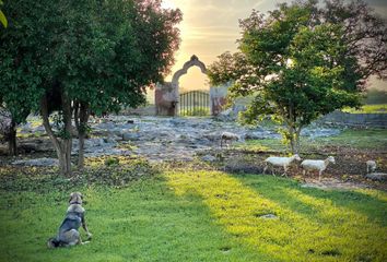 Casa en  Izamal, Yucatán