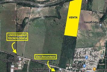Lote de Terreno en  Calle Nogal 344, Las Palmas, Linares, Nuevo León, 67767, Mex