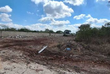 Lote de Terreno en  Calle Ninguno, Dzitya, Mérida, Yucatán, 97302, Mex