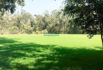 Terreno en  Cieneguilla, Lima