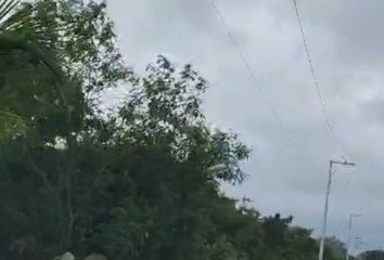 Lote de Terreno en  97347, Kantoyna, Yucatán, Mex