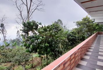 House for rent in San Francisco, Bucaramanga