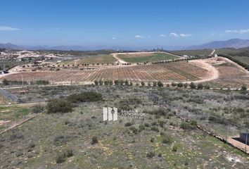 Lote de Terreno en  Calle Doña Emilia 514, Ensenada, Baja California, 22766, Mex