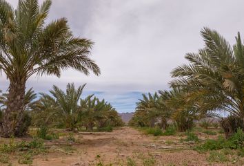 Rancho en  Calle Calafia, Centro Cívico Y Comercial, Mexicali, Baja California, 21000, Mex