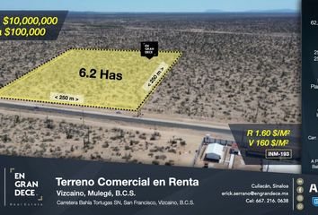 Lote de Terreno en  Carretera Ramal A Bahía De Tortugas, Mulegé, Baja California Sur, 23935, Mex