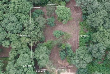 Lote de Terreno en  Montemorelos Centro, Montemorelos