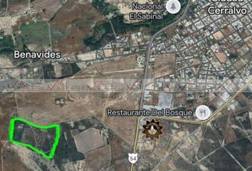 Lote de Terreno en  65925, Ciudad Cerralvo, Nuevo León, Mex