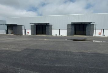 Bodega-Galpon en  Tarifa, Samborondón