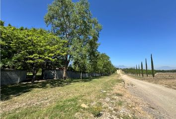 Lote de Terreno en  Rayones, Nuevo León