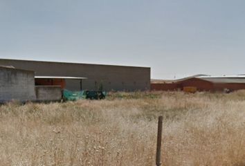 Terreno en  Torrejon Del Rey, Guadalajara Provincia
