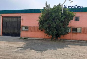 Local comercial en  Los Reyes Acaquilpan (la Paz), Estado De México