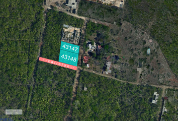 Lote de Terreno en  Calle Caoba, Cholul, Mérida, Yucatán, 97305, Mex