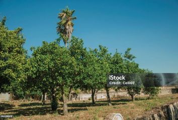 Chalet en  San Martin Del Tesorillo, Cádiz Provincia