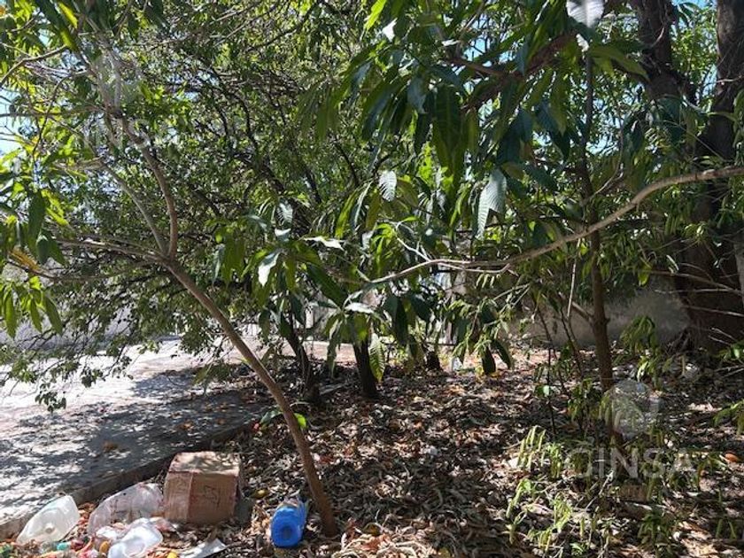 venta Lote de Terreno en Mérida Centro, Mérida, Yucatán (2_43_99238571 ...
