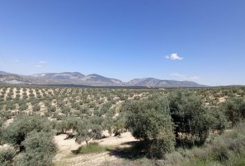 Terreno en  Pinos Puente, Granada Provincia