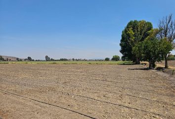 Lote de Terreno en  El Tepetate, San Clemente Cetro, Pedro Escobedo, Querétaro, 76720, Mex