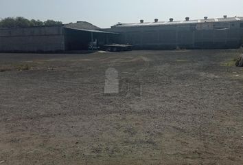 Nave en  San José, San Vicente Chicoloapan De Juárez, Chicoloapan