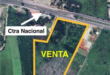 Lote de Terreno en  Carretera Nacional, Linares, Nuevo León, 67730, Mex