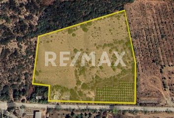 Lote de Terreno en  San Lucas, Baja California Sur