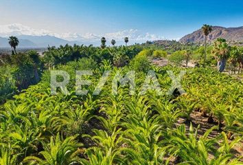 Lote de Terreno en  San José Del Cabo Centro, San José Del Cabo
